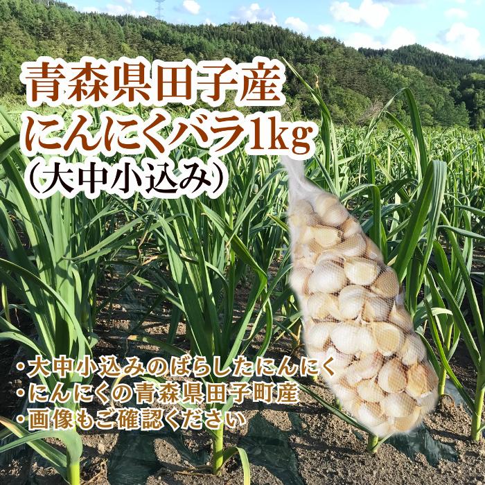 【ふるさと納税】青森県田子産にんにくバラ（訳あり）約1kg　お届け：10月15日〜4月30日まで