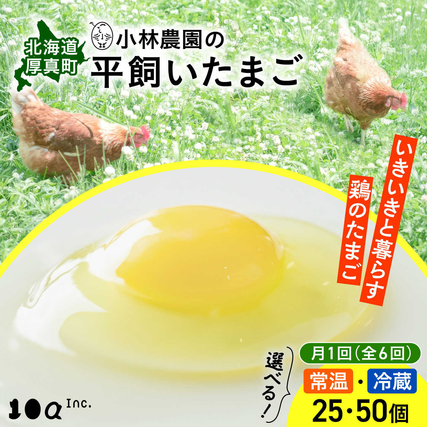 【ふるさと納税】【全6回定期便】小林農園の平飼いたまご・無投薬 25個/50個から選べる《厚真町》【テンアール株式会社】 たまご 卵 鶏卵 玉子 生卵 平飼い 北海道 定期便 [AXAN005]