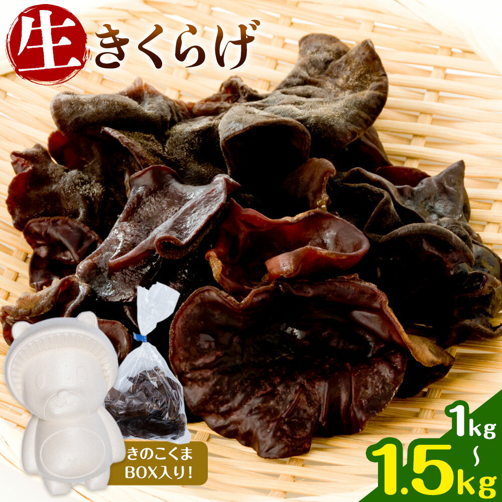 【ふるさと納税】生きくらげ 1kg 1.5kg 鷹乃産業有限会社 《30日以内に出荷予定(土日祝除く)》熊本県 球磨郡 山江村 きくらげ きのこ 野菜