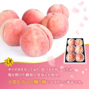 桃 【特選最上級】 川中島白桃 約2kg 6個入 ※2026年7月末から8月末順次発送【kgr036】 