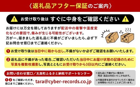 【独自製法の味自慢】TAJIOH クレメンティン冷凍ジュース 150ml x 12本 セット （計1800ml） みかんジュース 柑橘系 飲料 クレメンティン 蜜柑 みかん ミカン 佐賀県 太良町 冷