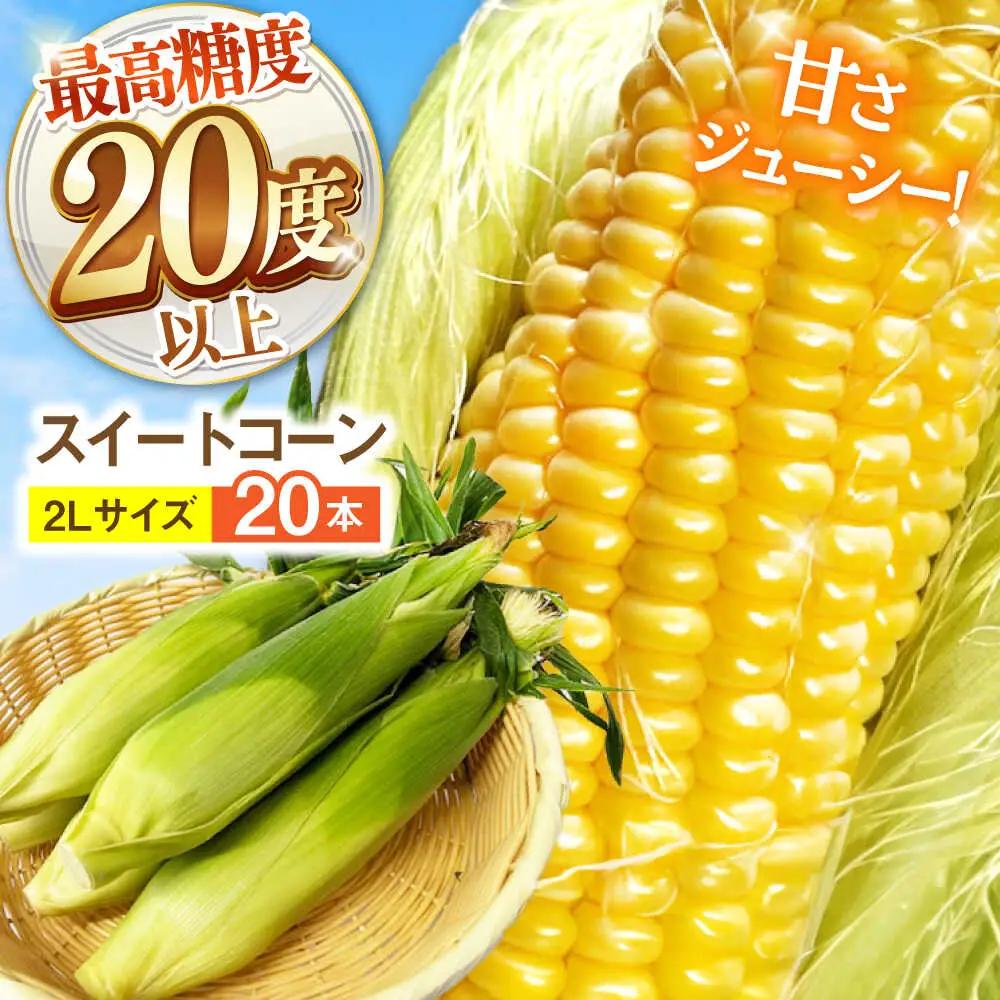 【先行予約】とうもろこし 20本 [SGB009] 野菜 | とうもろこし