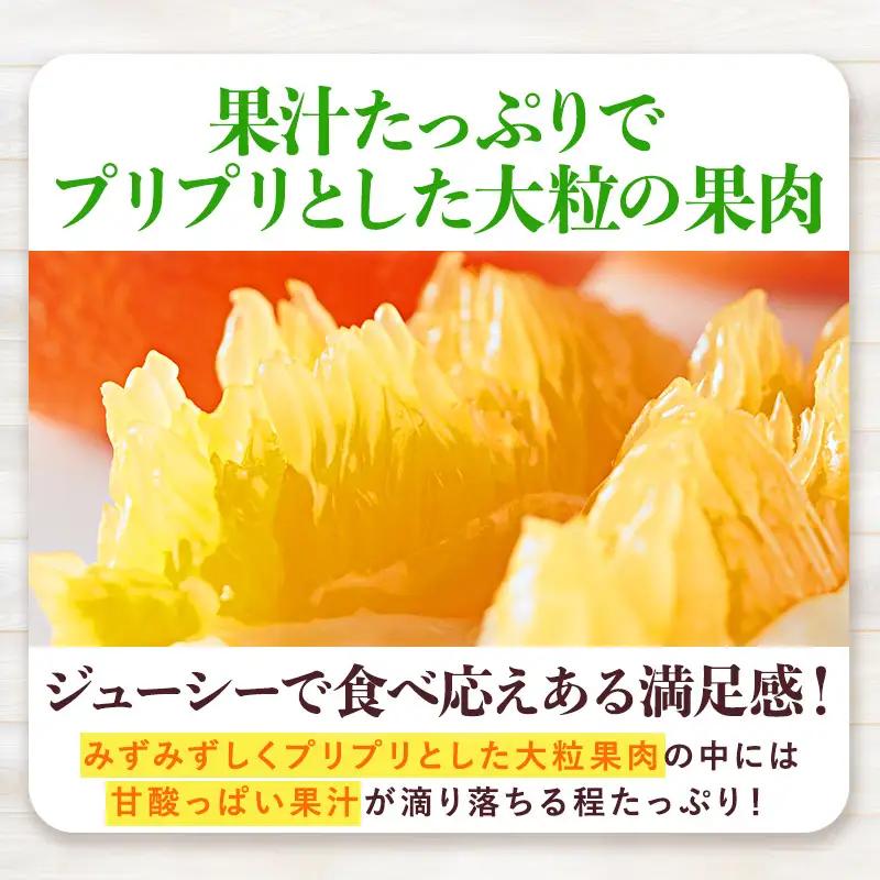 【先行予約】いよかんバラ詰め（1kg）