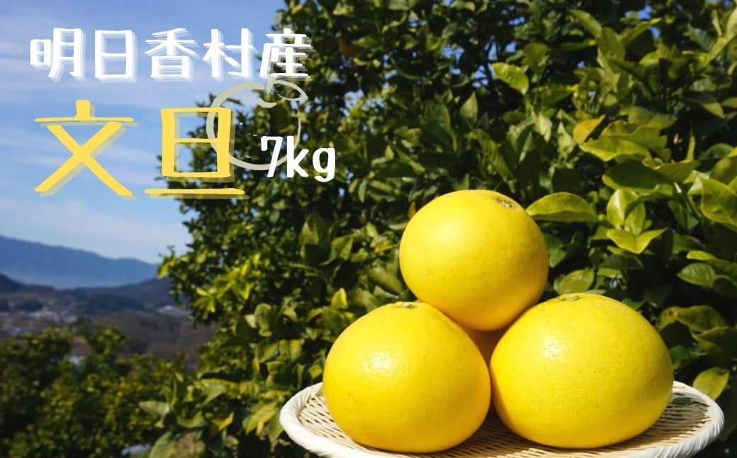 
                  【2026年3月中旬発送】文旦　約7kg
                