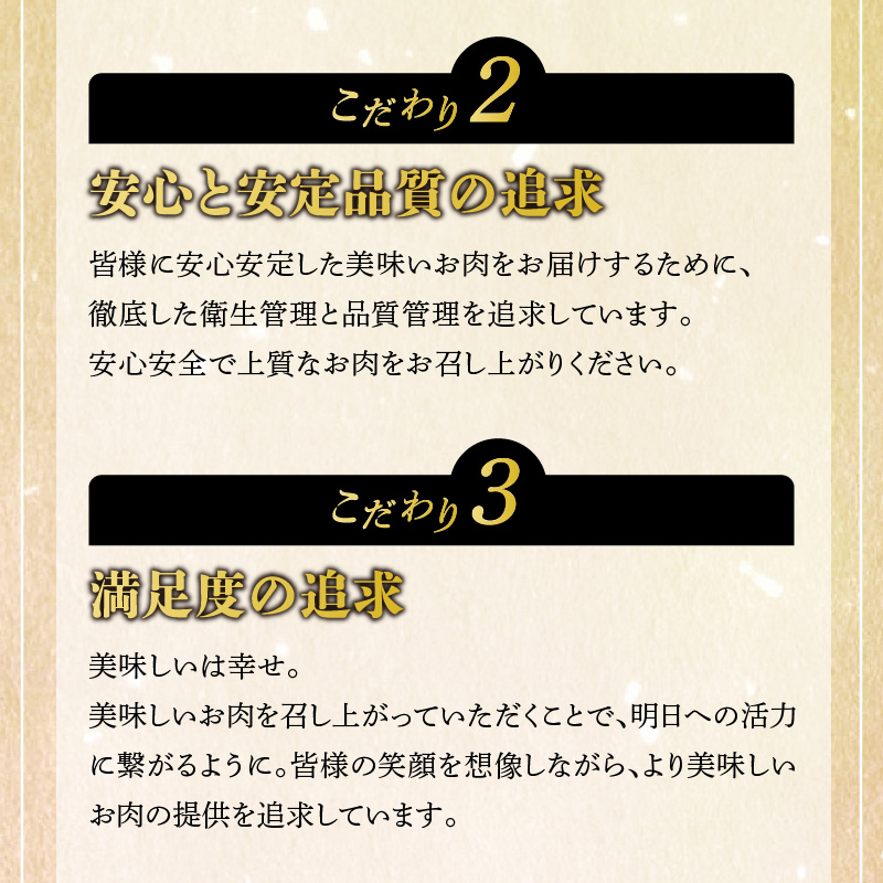 宮崎牛 サーロインステーキ 2枚 400g　N0140-YA754