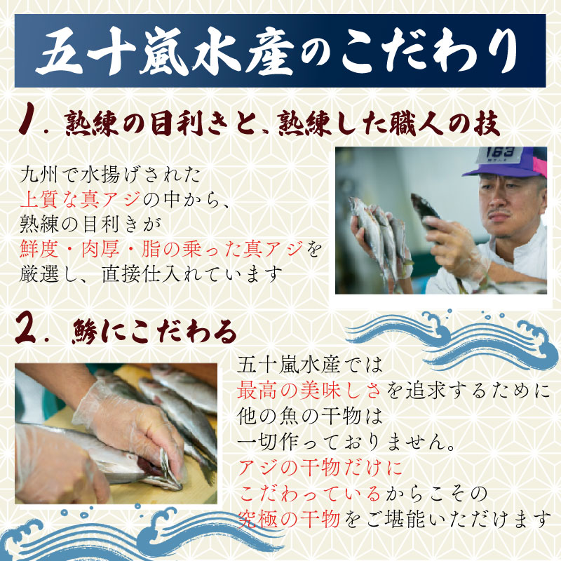 訳あり 真アジ 干物 約2.8kg サイズ不揃い ひもの 国産 あじ アジ 鯵 真あじ 冷凍 五十嵐水産 訳アリ 晩酌 おつまみ 簡単 お手軽 魚 魚介 干し魚 静岡 沼津