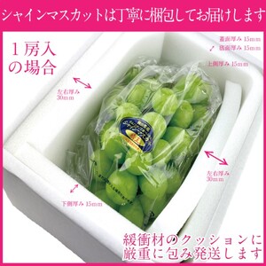 ぶどう 2024年 先行予約 シャインマスカット 晴王 1房 約650g 定期便 2回 岡山県産 葡萄 ブドウ ギフト ハレノフルーツ 皮ごと食べる みずみずしい