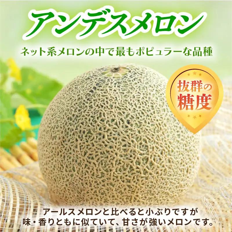 【先行予約】アンデスメロン 花咲乙女 3～5玉入 3～5L 《甘くまろやか！青肉で果汁たっぷり》／ 期間限定 果物 フルーツ 産地直送 ※2027年6月下旬より順次発送 [aw003-a008]