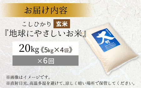 【令和7年産】【6ヶ月定期便】こしひかり 20kg × 6回 計 120kg【玄米】減農薬・減化学肥料 「特別栽培米」－地球にやさしいお米－[P-003004]