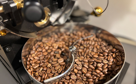 スペシャリティコーヒー ドリップバッグ 10個入 ドリップコーヒー ドリップ 珈琲 兵庫県 洲本市 淡路島