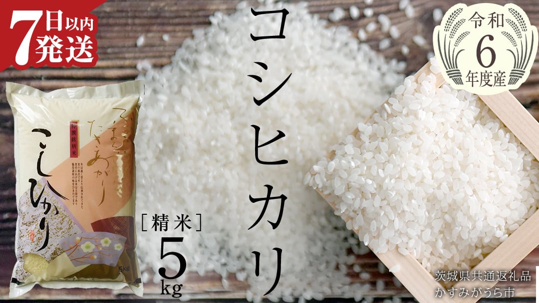 
            【 令和6年産 】 コシヒカリ 精米 5kg ( 5kg × 1袋 ) (茨城県共通返礼品 かすみがうら市) 米 ごはん もっちり 甘い コメ お米 白米 銘柄米 [EX001sa]
          
