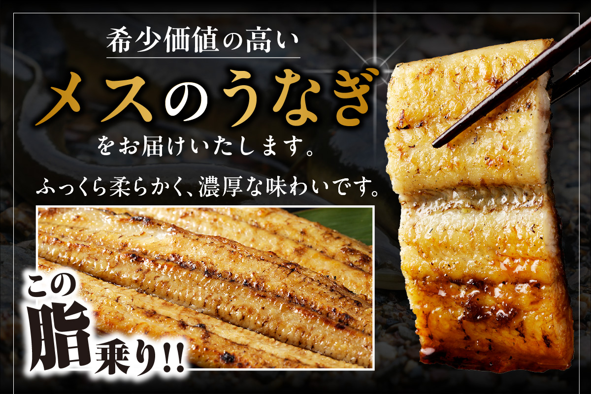 【土用の丑の日までにお届け】三河高浜産三代目養鰻家の白焼きうなぎ 特大2尾（350ｇ以上）_74-379-ｄ