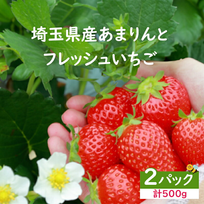 ＜先行受付＞【ふるさと納税】安藤農園 埼玉県産あまりんとフレッシュいちご　各1パック（計500g） 苺 いちご フルーツ デザート 贈答 深谷 深谷市 紅ほっぺ 章姫 やよい姫 かおりん あまりん　【11218-0711】