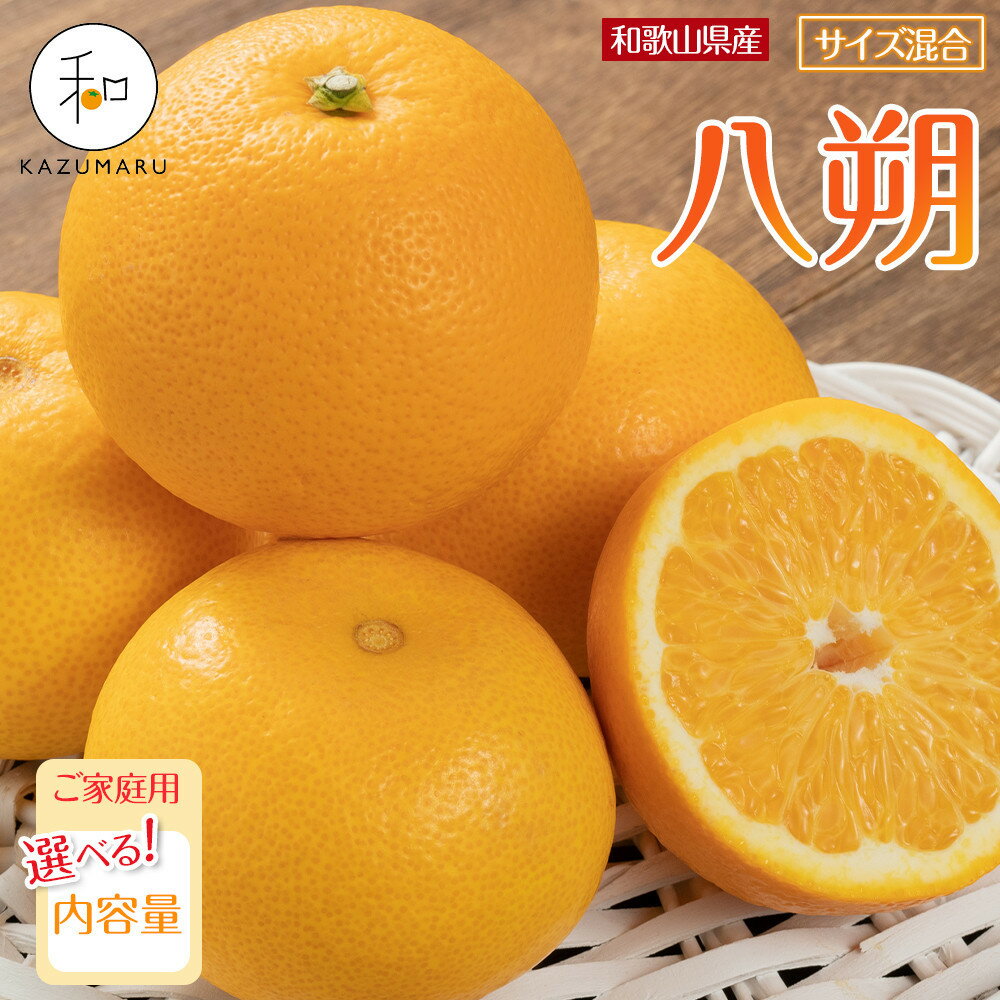 【ふるさと納税】【選べる容量】家庭用 森本農園の手選別 八朔 約4.5～10kg 和歌山県産 サイズ混合 ［北海道・沖縄・離島配送不可］［2026年1月中旬から2月中旬頃順次発送予定］ | みかん 蜜柑 フルーツ 果物 くだもの 食品 人気 おすすめ 送料無料