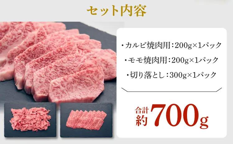 牛肉 焼肉 カルビ・モモ・切り落としセット 計700g 