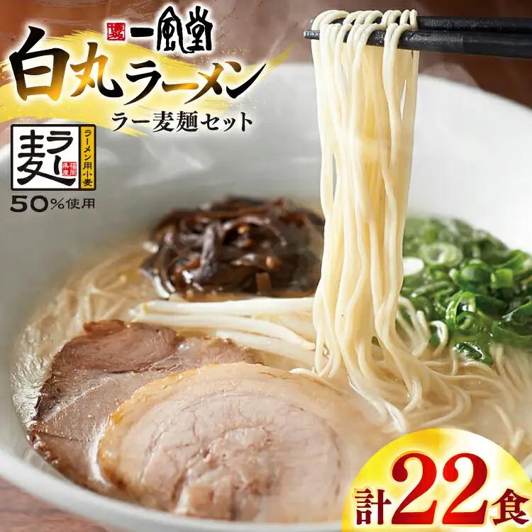 一風堂 博多 とんこつラーメン 白丸 22食 豚骨ラーメン