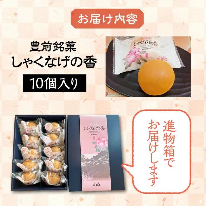【進物箱】しゃくなげの香 10個入り[VBU004] ギフト 贈り物 和菓子