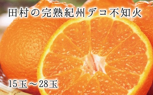 高級ブランド田村の完熟紀州デコ(不知火)　※2025年2月中旬頃～2025年3月中旬頃に順次発送予定(お届け日指定不可) / みかん 蜜柑 フルーツ 果物 くだもの