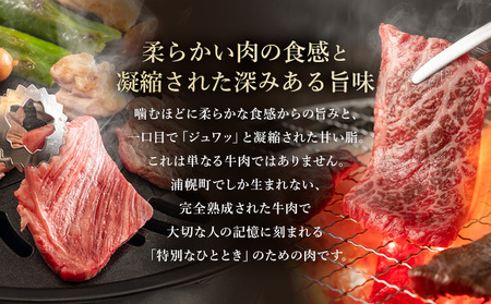 黒毛和牛 うらほろ完熟ビーフ 焼肉セット カタ 350g バラ 250g モモ 450g 計1050g 一般社団法人十勝うらほろ樂舎 《2026年2月出荷開始 30日以内に出荷予定(土日祝除く》 北海