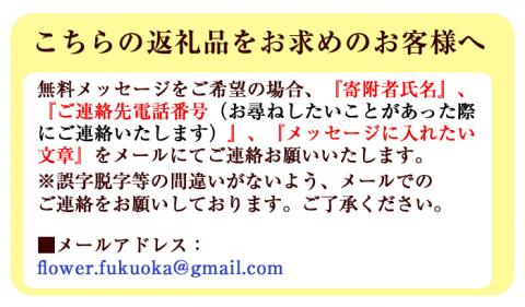 isa290 お供え用プリザーブドフラワーアレンジメント(約 高さ16×幅12×奥行12cm)ふるさとのご先祖様へ【福岡生花】