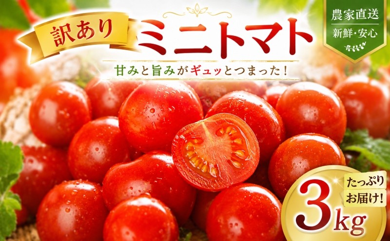 
                  先行予約 ミニトマト 訳あり 3kg 家庭用 自宅用 不揃い サンゴ ミネラル 愛菜 野菜 肥料 ウルとま®TYみわく 肥料 サンゴ肥料 カルシウム タカミヤの愛菜 株式会社タカミヤ 埼玉県 羽生市
                