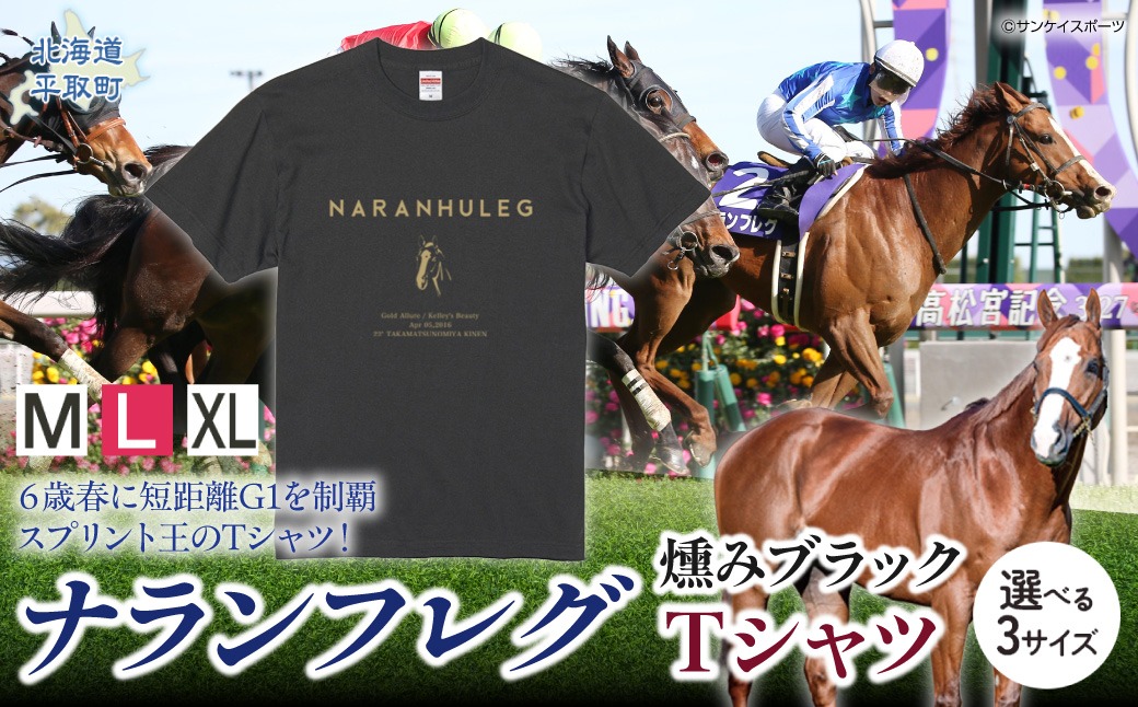【ナランフレグ】（燻みブラック）Ｔシャツ 選べる３サイズ BRTV350-v