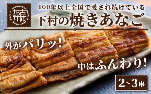 焼あなご(2～3串)《 串焼き 天然 蒲焼き あなご丼 穴子丼 送料無料 お取り寄せ 美味しい パリパリ おすすめ プレゼント 贈答 人気 ふるさと納税 》【2402D00701】