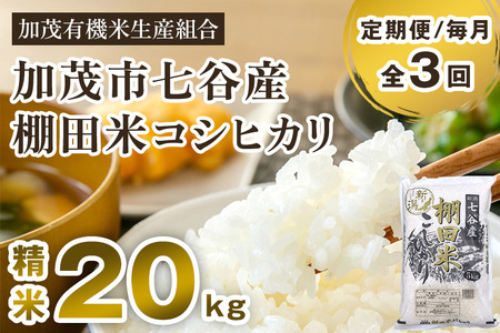 【令和7年産新米先行予約】【定期便3回毎月お届け】新潟県加茂市 七谷産 棚田米コシヒカリ 精米20kg（5kg×4） 《10月中旬から順次出荷》 白米 加茂有機米生産組合 定期便 定期購入 定期 新潟県産コシヒカリ 米 お米