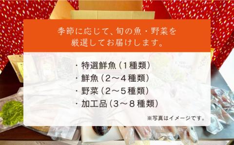五島よかとこ便 特選鮮魚入り 野菜 加工品 おまかせ お楽しみ セット 五島市/GOTO Challenged 椿 [PDU002]