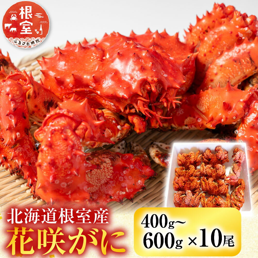 【ふるさと納税】 [北海道根室産] 花咲かに 400 〜 600g × 10 尾 花咲がに 花咲 花咲ガニ 花咲蟹 かに カニ 蟹 お取り寄せ グルメ 海鮮 北海道 根室市 ふるさと納税 D-36007