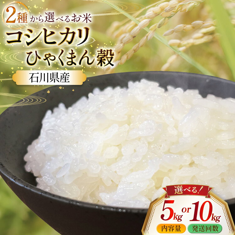 【ふるさと納税】 米 定期便 令和8年産 コシヒカリ ひゃくまん穀 選べる 内容量 発送回数 [農事組合法人かさの郷 石川県津幡町 tb17bgj610013] 定期便 定期 5kg 10kg 3回 6回 お米 こめ 令和8年 こしひかり 特別栽培米 5キロ 10キロ おこめ ご飯 ごはん 精米 白米 コメ 新米