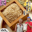 【ふるさと納税】12回 定期便 希少品種米 ササシグレ 玄米 5kg×12回 総計60kg [長沼 太一 宮城県 加美町 44581420]