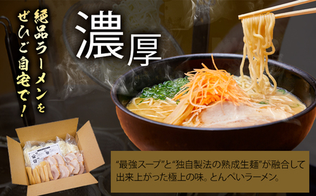 A-234 ラーメン 鶏がら白湯 5食入（チャーシュー メンマ付）とんぺいの生ラーメン　 A-234