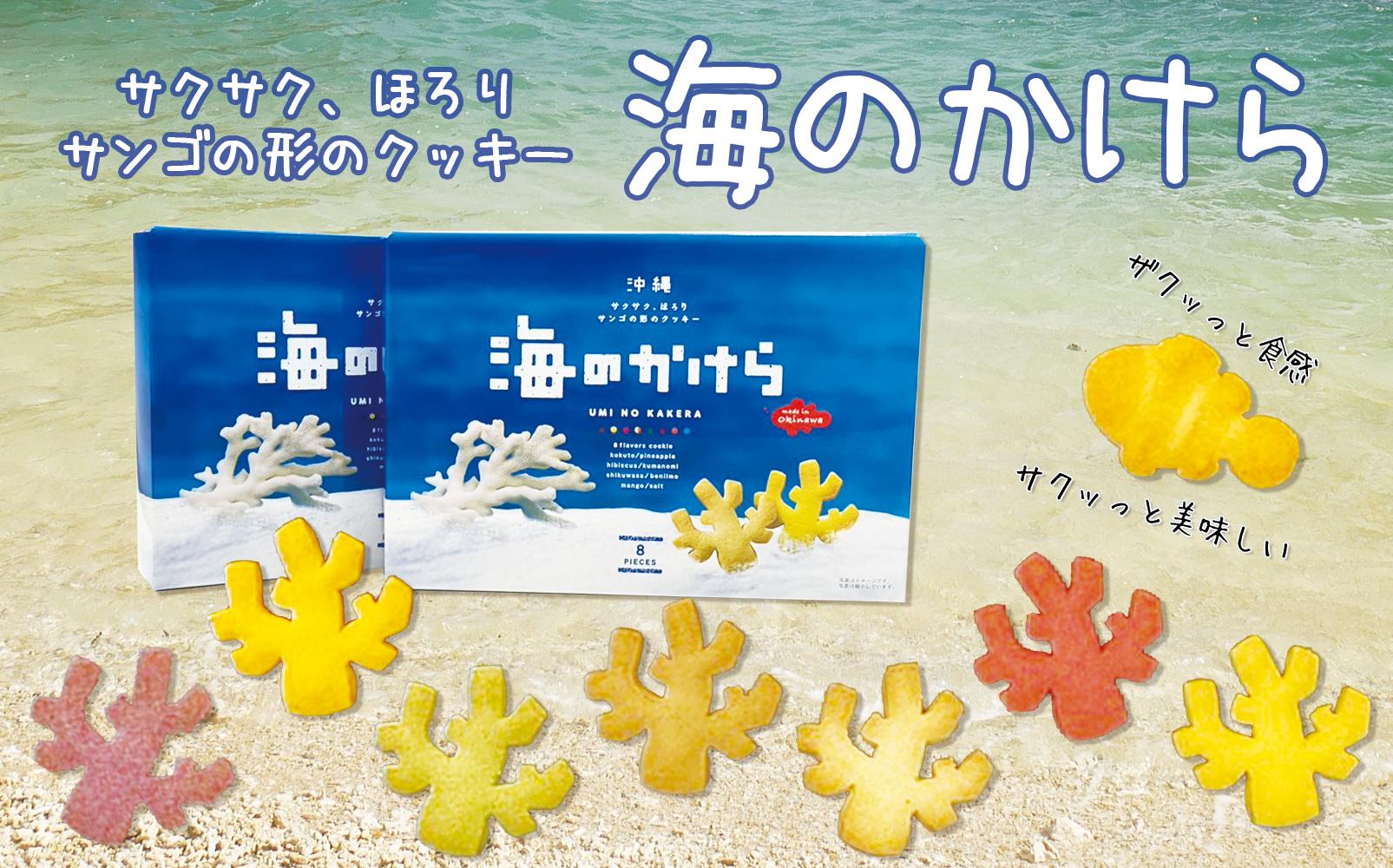 海のかけらクッキー 1箱8個入り2箱セット
