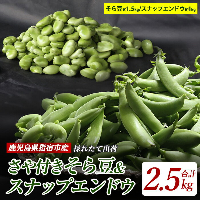 【ふるさと納税】＜先行予約受付中！2026年1月中旬以降順次発送＞鹿児島県指宿産！国産のそら豆さや付き(約1.5kg)とスナップエンドウ(約1kg)の合計約2.5kg！野菜 旬 大容量 詰め合わせ そら豆 スナップエンドウ 【アグリスタイル】
