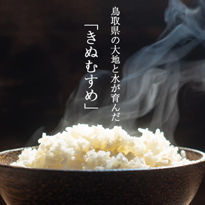 【新米】【在庫限定】令和7年産米 きぬむすめ 10kg （大上農園）数量限定 新米 米 白米 きぬむすめ