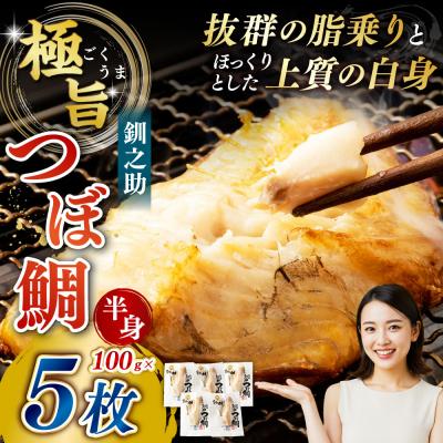 ふるさと納税 釧路市  釧之助 極旨つぼだい半身 100g×5パック マルサ笹谷商店【14営業日以内に発送】