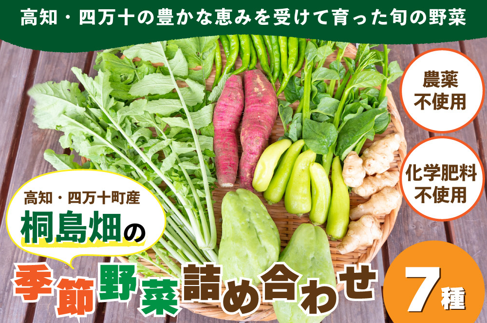 
            【栽培期間中、農薬・化学肥料不使用】桐島畑の季節野菜詰め合わせ(7種類)  Fkh-10   ／  やさい 国産野菜 四万十 高知 季節 フレッシュ 旬 無農薬 有機農業
          