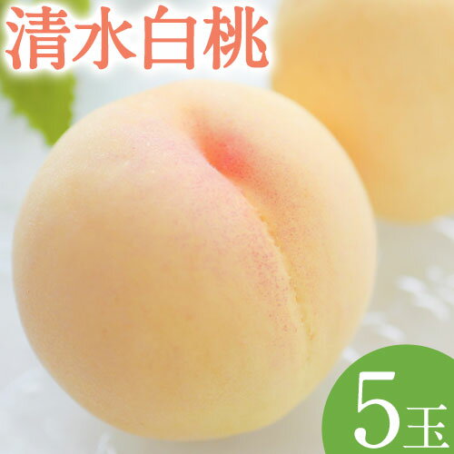【ふるさと納税】【2025年発送】清水白桃 5玉入り （1玉約250g以上）株式会社備前の夢《7月下旬-8月上旬頃出荷》岡山県 備前市 桃 白桃