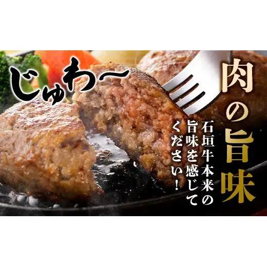 石垣牛100% ハンバーグ 100g×6個