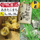 【ふるさと納税】 新米 令和6年産 あきたこまち 玄米 合鴨農法 おすすめ 武田家のお米 5kg 10kg 20kg 送料無料 米 あい鴨 カモ アイ鴨 鴨 アイガモ 選べる 5キロ 10キロ 20キロ 国産 美味しい 少量 産地直送 農家直送 お米 ご飯 コメ おにぎり 弁当 岩手県産 岩手県 滝沢市