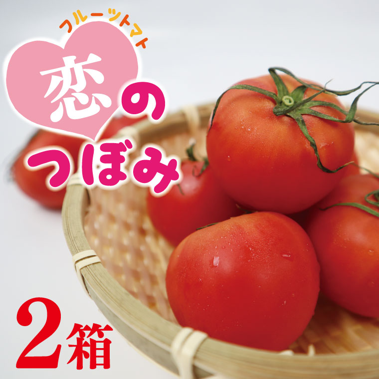 【ふるさと納税】【先行予約】【2026年11月より順次発送】JA　恋のつぼみ(フルーツトマト2箱)｜トマト フルーツトマト 恋のつぼみ 野菜 茨城県 行方市（AE-6）