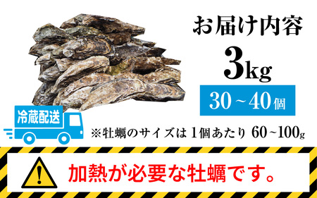 【先行予約】【期間限定】若狭小浜ブランド 若狭かき（加熱用）3Kg 30〜40個入り【2024年11月下旬より順次発送】