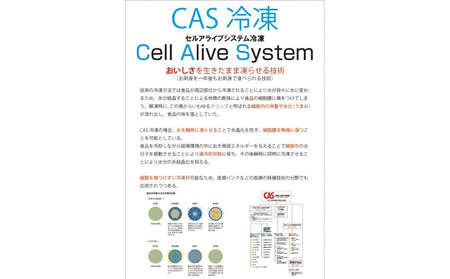 近江牛ウデ肉スライス500ｇ【 近江牛 ハラルビーフ スライス 】