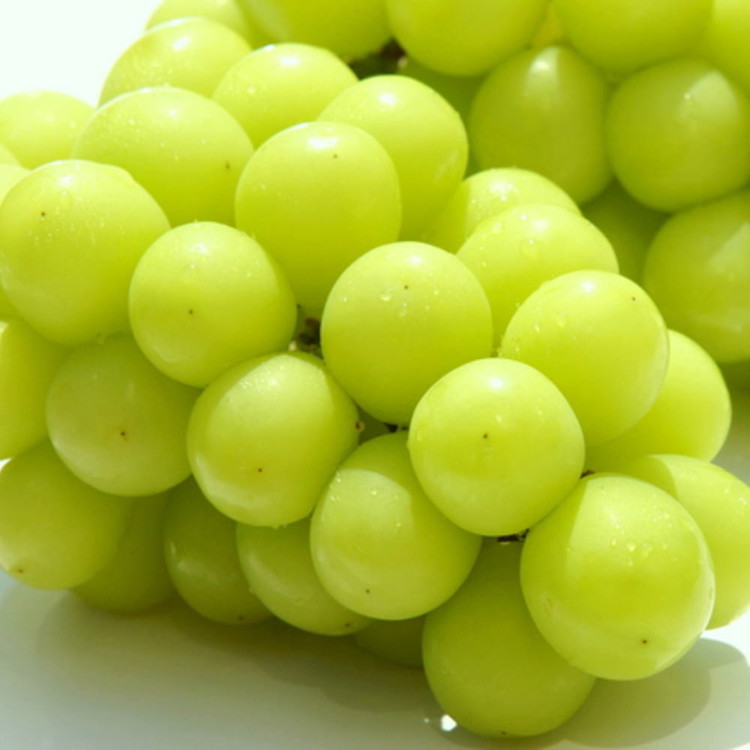 フルーツ 定期便 全3回 【7月・8月・9月発送】 和歌山の夏の人気フルーツをお届け（桃・梨・シャインマスカット） ｜ 桃 葡萄 梨 和歌山県産 国産 果物 旬の果物 産地直送