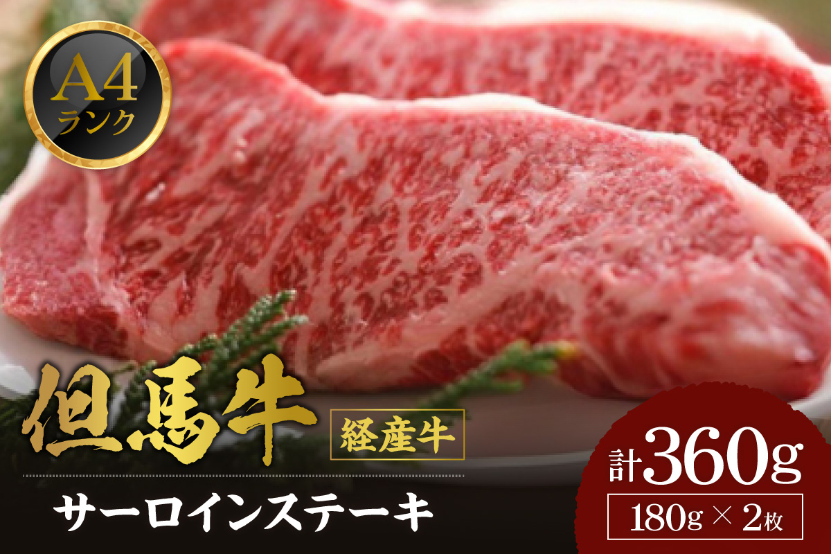 【但馬牛 経産牛 サーロインステーキ 180g×2 合計360g】冷凍 配送日指定不可 黒毛和牛 ルーツ 但馬牛 神戸牛 仙台牛 飛騨牛 ルーツ牛 牛肉 ステーキ しゃぶしゃぶ すき焼き 焼肉 産地直送 大人気 ふるさと納税 返礼品 おすすめ ランキング 但馬 神戸 兵庫県 香美町 村岡 牛将 村岡ファームガーデン 02-03