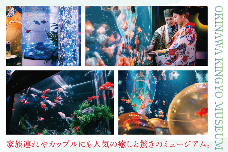 沖縄金魚ミュージアム入場券　大人1名｜観光 チケット 沖縄金魚ミュージアム 金魚 あしびなー 沖縄 豊見城（DN001）