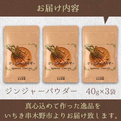 ふるさと納税 いちき串木野市 鹿児島県産ジンジャーパウダー(40g×3)自社農園の新生姜のみ使用! |  | 01