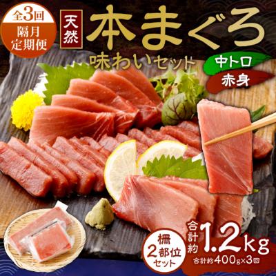 ふるさと納税 室戸市 【 定期便 全3回 隔月 お届け 】アイルランド産天然本まぐろ味わいセット