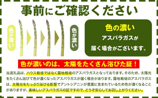 【TVで紹介！】【先行予約】朝採りアスパラガス 選べる内容量 Lサイズ(800g) 《2027年5月中旬-6月中旬頃出荷予定》北海道 名寄市 送料無料 朝採り 新鮮 アスパラ